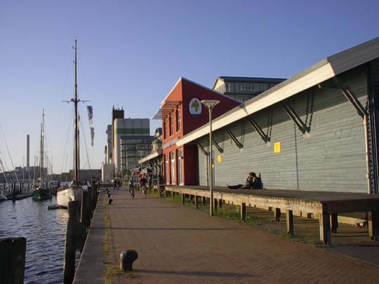 IM001444_jpg