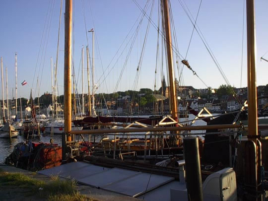 IM001451_jpg