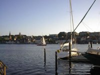 IM001447_jpg