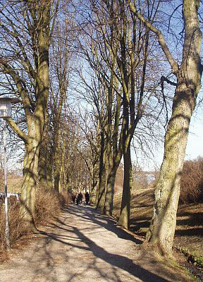 P1010064_jpg