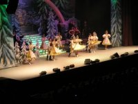 fest33