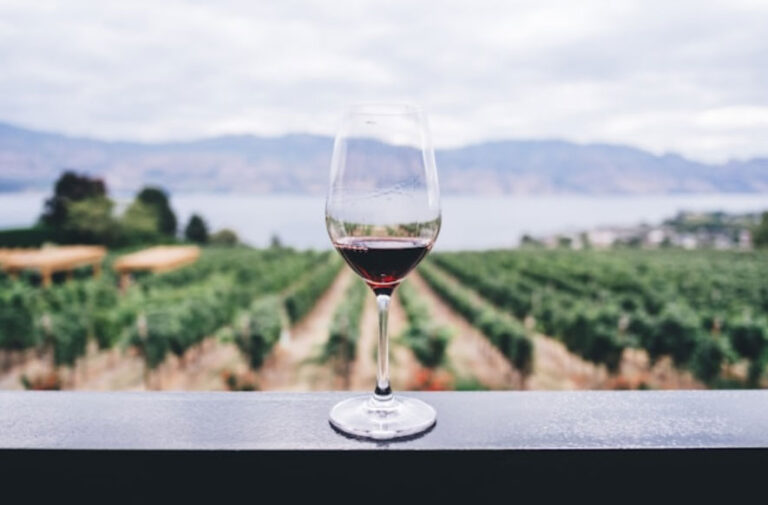 Französische und italienische Weinperlen: Châteauneuf-du-Pape und Brunello di Montalcino im Fokus